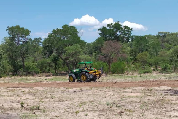 Tractor  plowing  field
